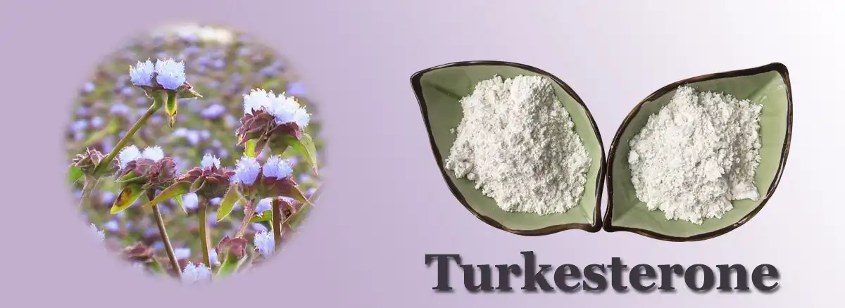Turkesterone Factory.jpg